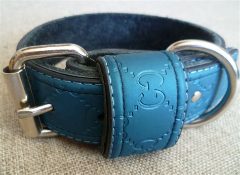 Gucci inspired dog collar